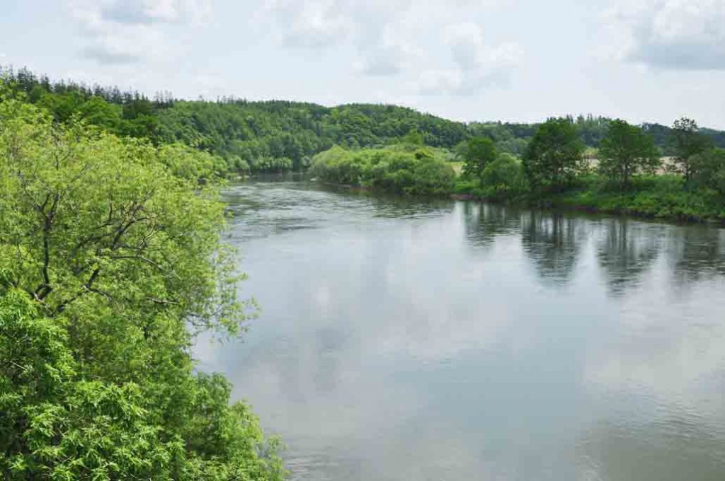 川幅が広く全長が256㎞もある天塩川。堰堤など遮るものがなく川下りできるコースが日本で最も長く、毎年国内最大のカヌーツーリングが行われる